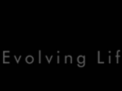 Stans Buildtech Group